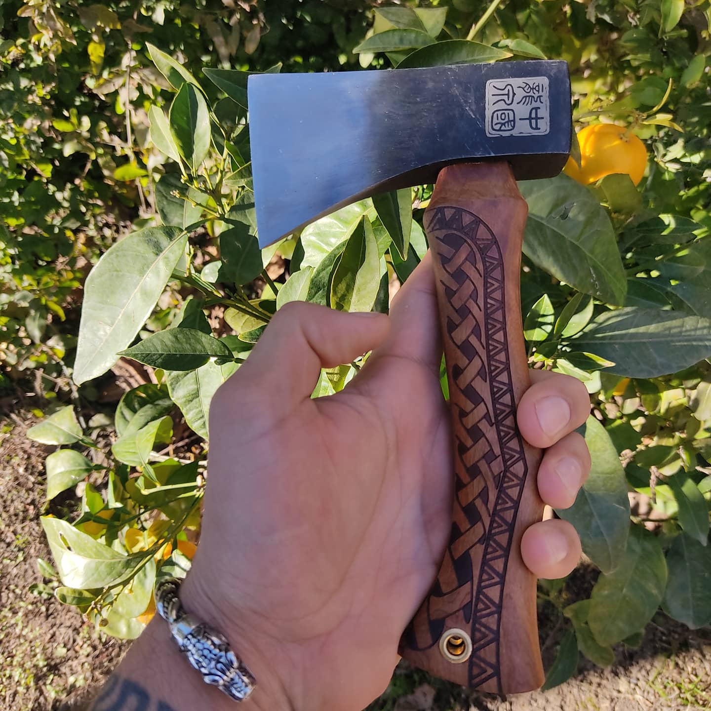 Hachette trekking bushcraft viking - acier bois