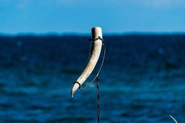 Un oiseau perché sur une branche dans l’eau, faisant écho à la tradition des cornes à boire des Vikings.